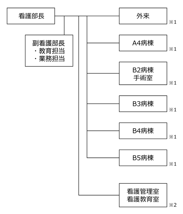 看護部の組織図